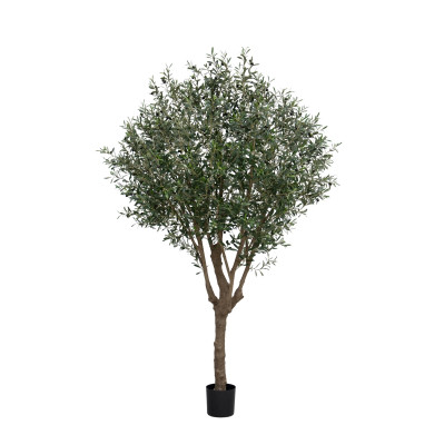 Оливковое дерево (250 см)