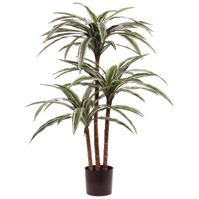 Dracena (95 cm)