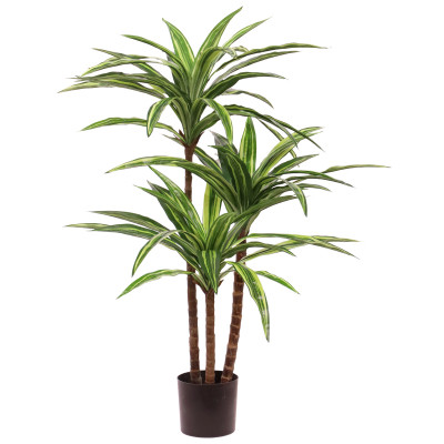 Dracena (95 cm)