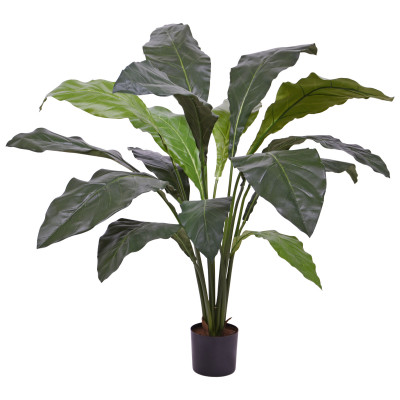 Anthurium (130 cm)