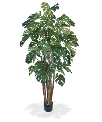 Mākslīgā monstera Deluxe (210 cm)