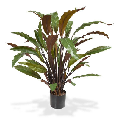 Artificial Calathea Vermelho 60 cm