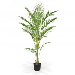 Fake Areca palm (165 cm)