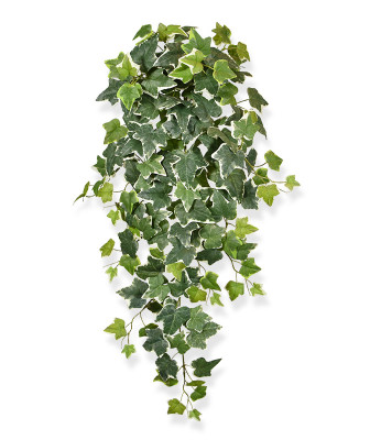Planta rasteira Ivy artificial 75 cm variegado 