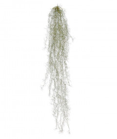 Fake Tillandsia trailing plant (120 cm)