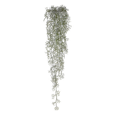 Tillandsia (90 cm)