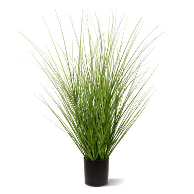 Grass plant (60 cm)