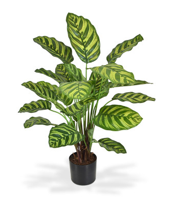 Planta Calathea Makoyana artificial 60 cm 