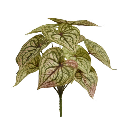 Syngonium (28 cm)