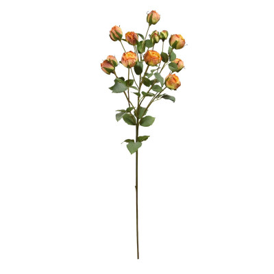 Róża pęk (70 cm)
