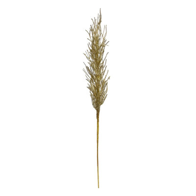 Пампасная трава (80 cм)