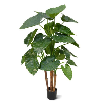 Alocasia Calidora (125 cm)