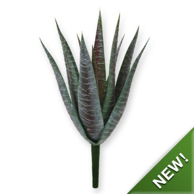 Aloe vera buket (30 cm)