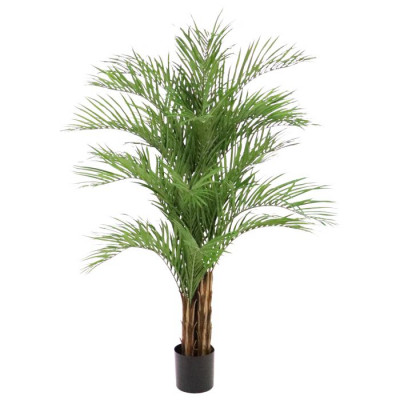 Areca Palm (210 cm)