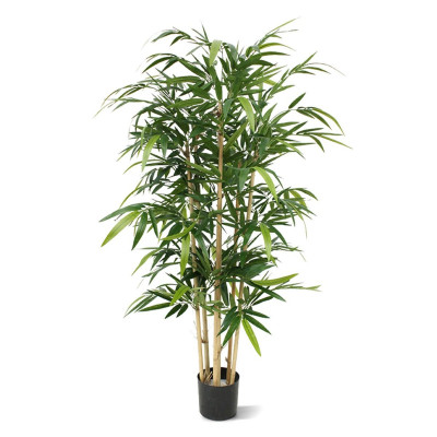 Бамбук (140 см)