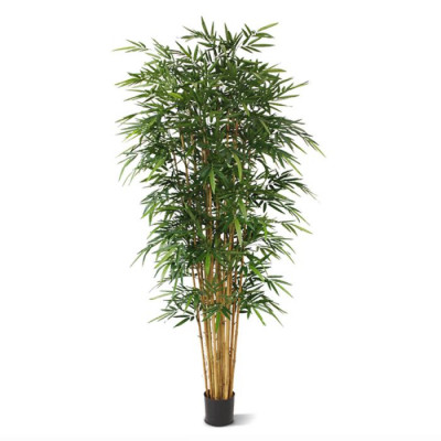 Bambu (240 cm)