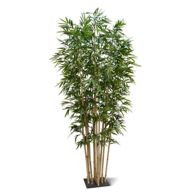 Bambu (400 cm)