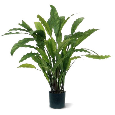 Calathea artificial 60 cm verde