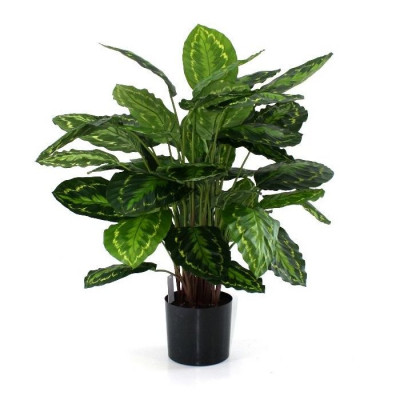 Calathea Rosea Picta artificial 80 cm 