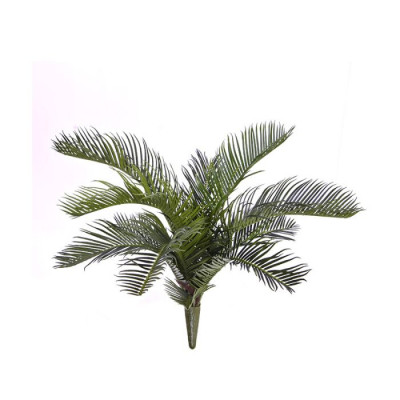 Cycas Revoluta buket (50 cm)