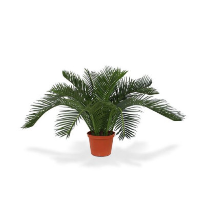 Palmeira bebê Cycas artificial 50 cm N