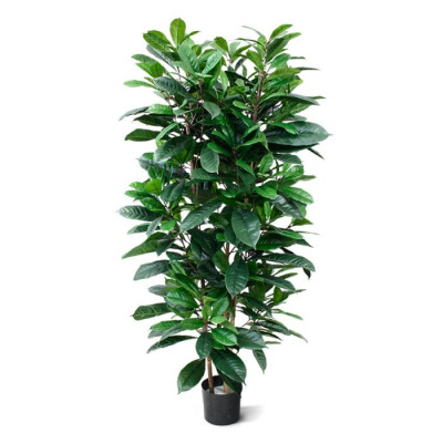 Ficus Cyathistipula artificial 160 cm Deluxe
