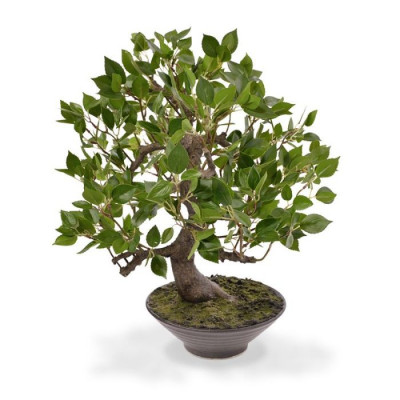 Bonsai Ficus Wiandi artificial 45 cm na bacia 
