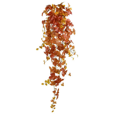 Klon jesienny wiszący (120 cm)