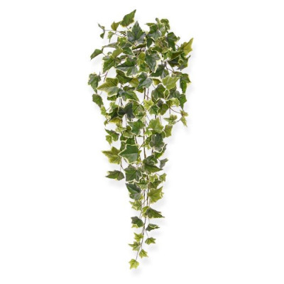 Hedera (65 cm)