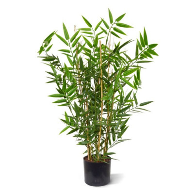 Bambu (60 cm) UV