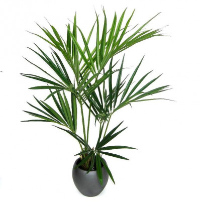 Palmeira Kentia artificial Deluxe 135 cm 