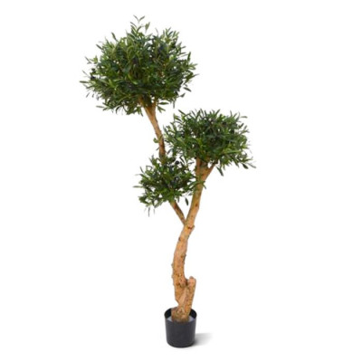 Zeytin bonsai (160 cm)