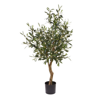 Olive tree (95 cm)