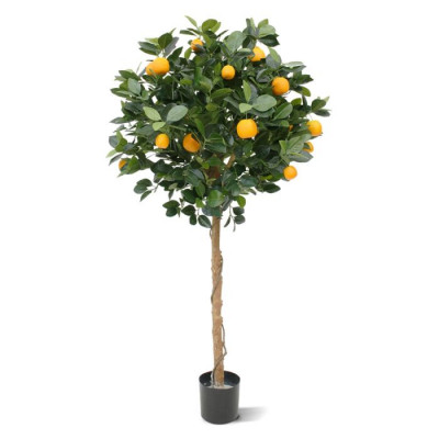 Portakal ağacı (120 cm)