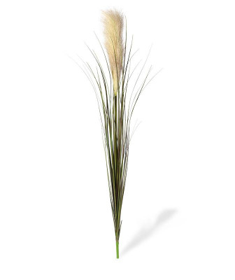 Trawa pampasowa (95 cm)