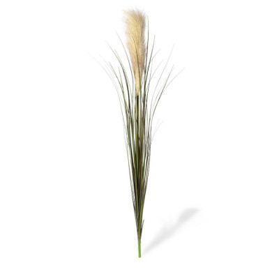 Pampas otu (95 cm)