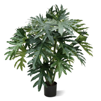 Philodendron Selloum (100 cm)