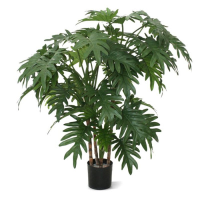 Philodendron Xanadu (95 cm)