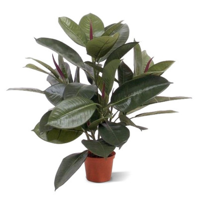 Planta de Janela Filodendro artificial 50 cm no pote 