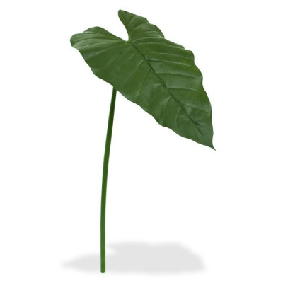 Philodendron yaprağı (65 cm)