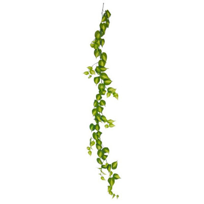 Philodendron Scandens Brasil Garland (180 cm)