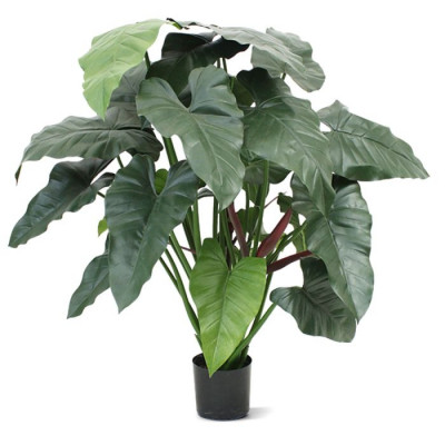 Philodendron (120 cm)