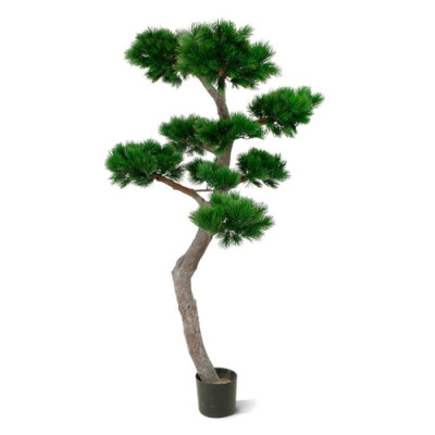 Árvore Pinus Bonsai artificial XL 200 cm UV