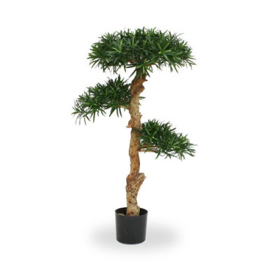 Taş Porsuğu Bonsai (120 cm)