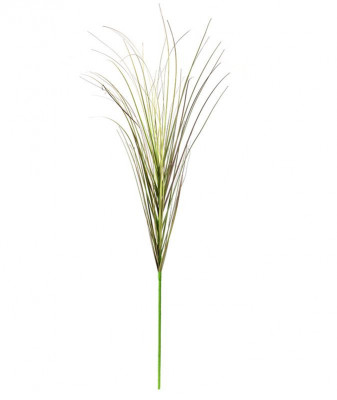 Reed grass branch 85 cm