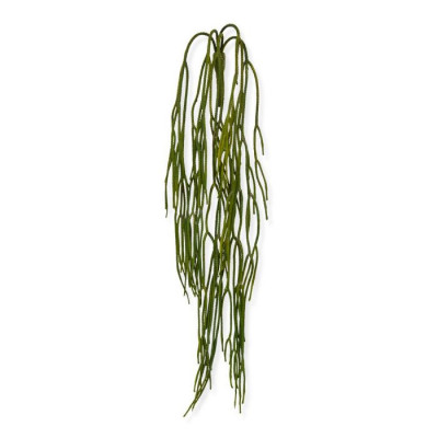 Planta rasteira Rhipsalis Pilocarpa artificial 65 cm 