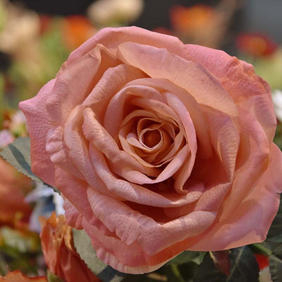 Mākslīgā roze (65 cm)