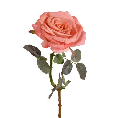Rožė 65 cm