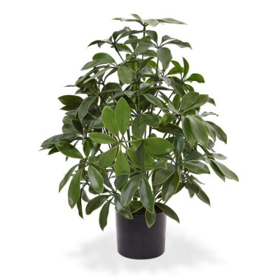Planta Schefflera artificial 50 cm anti-UV