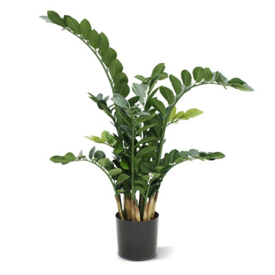Planta Zamioculcas artificial 100 cm 